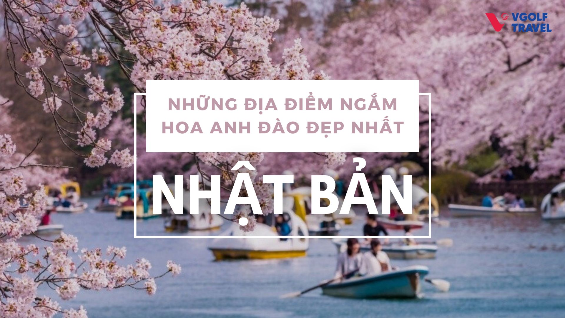 Những địa điểm ngắm hoa anh đào đẹp nhất Nhật Bản 2024